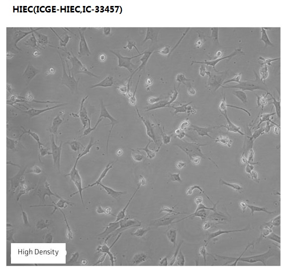 HIEC(ICGE-HIEC,IC-33457)