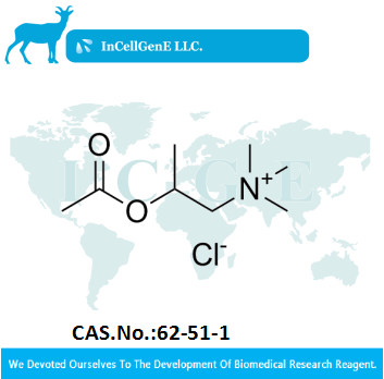 Methacholine chlorideIC-0155651