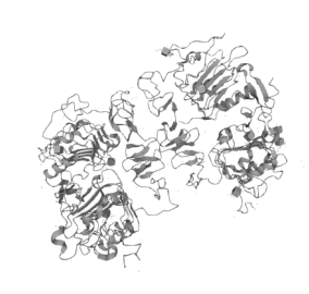 Recombinant Human EGF,CYT-P01133