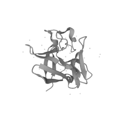 Recombinant Human Basic FGF,CYT-P09038