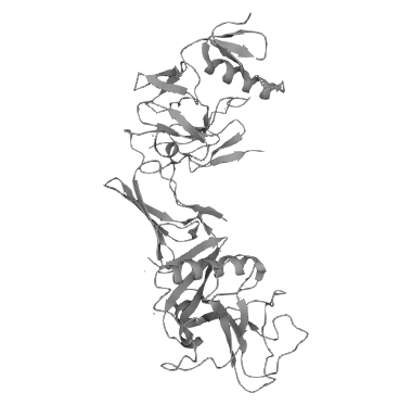 Recombinant Human IGFBP7,CYT-Q16270